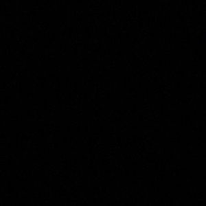 Meet your Posher, Sammy